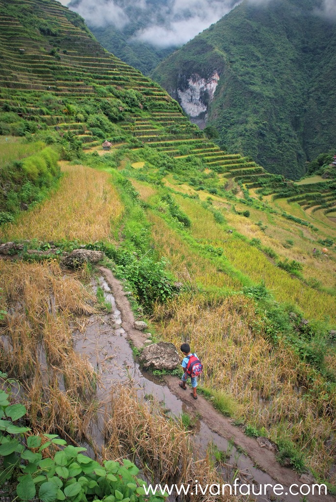 terrazas de arroz filipinas
