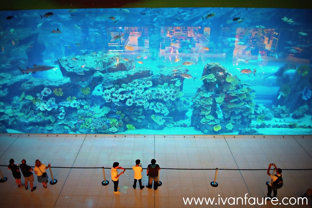 acuario dentro centro comercial dubai
